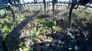 Культиватор для предпосевной обработки почвы КПП 8 (Сармат)