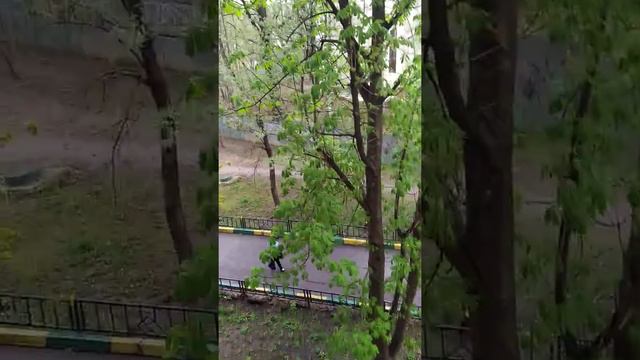 1 час назад было всё хорошо, солнце светило, а уже...Мда. смотреть онлайн