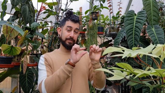 Florida Ghost In Depth | Make it white смотреть онлайн