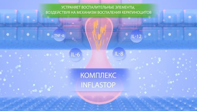 Биодерма Себиум Сенситив крем смотреть онлайн