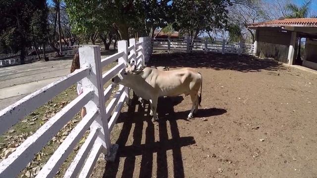 Куба 2017 отчет туриста смотреть онлайн