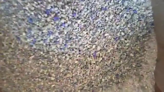 Fresh Step Clean Paws Clumping Cat Litter, larger and still effective with less tracking! смотреть онлайн