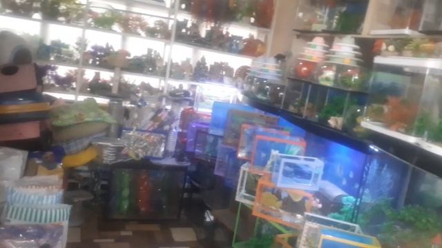 Fergana зоомагазин около базара смотреть онлайн