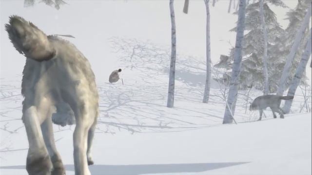 Assassin's Creed 3 - Walkthrough / Playthrough Part 5 HD - Winter смотреть онлайн