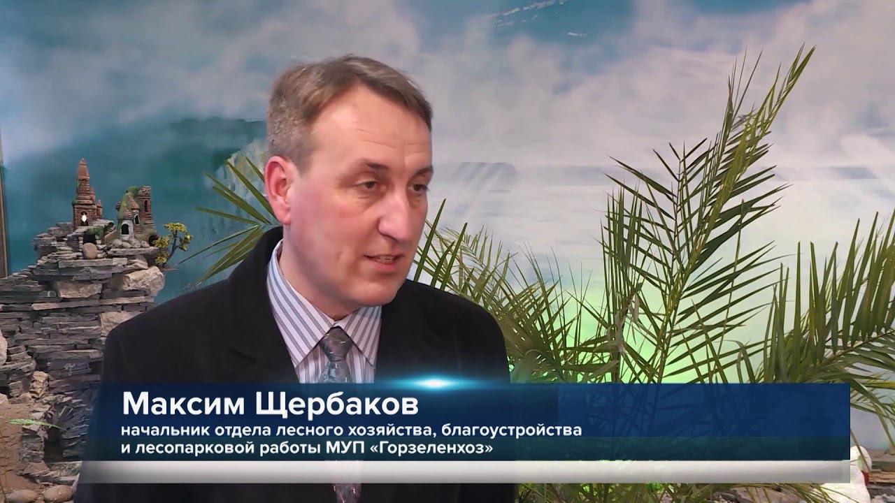 ZhKH HD смотреть онлайн