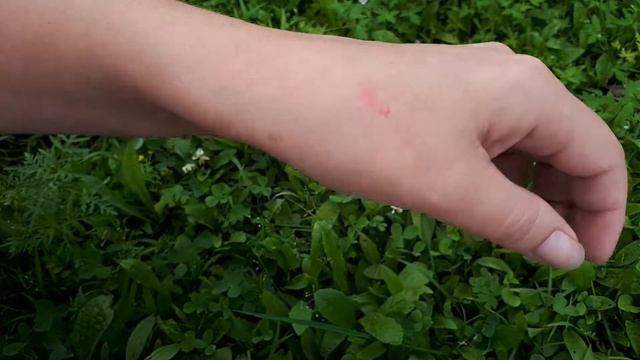 4 средства ухода RtopR с Алиэкспресс смотреть онлайн