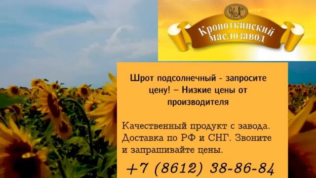 Шрот подсолнечный оптом смотреть онлайн