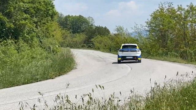 TEST PEUGEOT 208 RALLY 4 смотреть онлайн