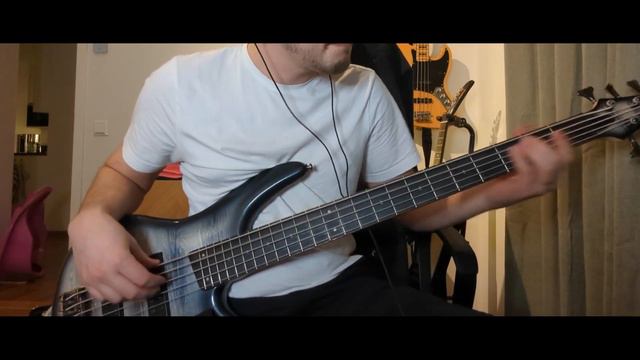 Mother and Child Divided - Live - Porcupine tree | Bass Cover смотреть онлайн