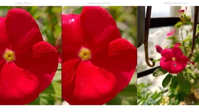 Redmi Note 12 Pro Plus vs Redmi Note 12 Pro vs realme 9 Pro Plus - Camera Test смотреть онлайн