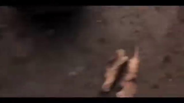 Прикол абизяна смотреть онлайн