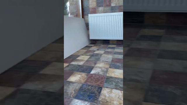 Веселая семейка ( мама Мальтезе, папа Той Пудель, детки МАЛЬТИПУ f1). смотреть онлайн