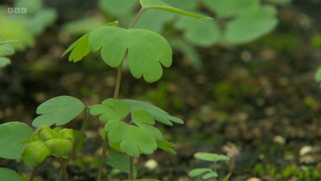 Gardeners' World 2022 S55E08