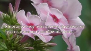 Вены голеней настрой академика Сытина Г.Н.