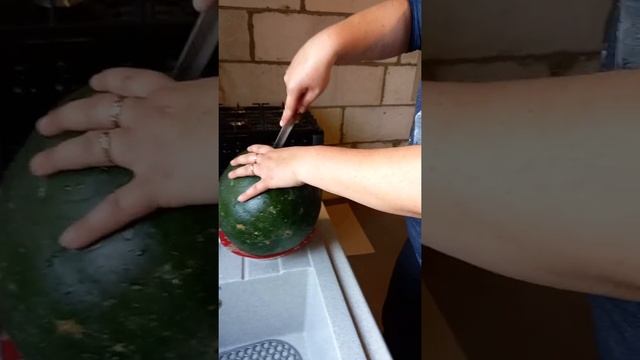 ЧЁРНЫЙ АРБУЗ!!!!!!!????? смотреть онлайн