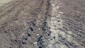 посадка картошки под окучник самодельным минитрактором