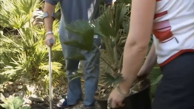 Monty Don's Real Gardens🍀Episode 11