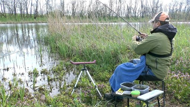 100% рабочий способ ловли карася на фидер весь год. Караси сходят с ума от такой ловли на фидер смотреть онлайн