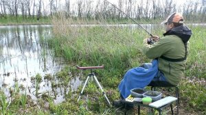 100% рабочий способ ловли карася на фидер весь год. Караси сходят с ума от такой ловли на фидер