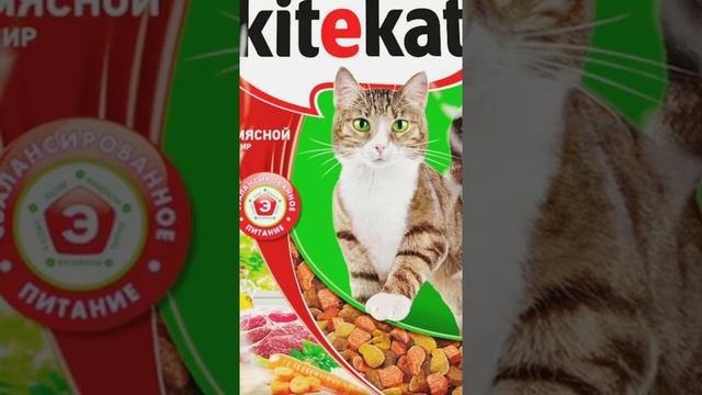 ТОП3 худших корма для кошек ?