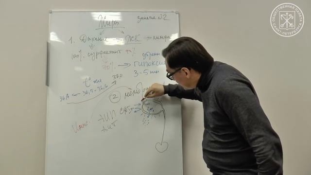 ЖИРЫ. К.Б.Заболотный смотреть онлайн