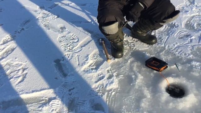 Ещё раз про лёд и поимка янтарной форели. РК Фишка Липки.