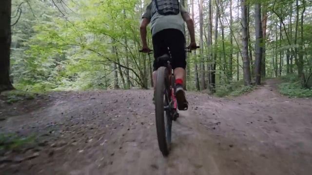 This Grizzly Bear Drags Colin Dowler Off His Bike And Starts Eating Him Alive смотреть онлайн