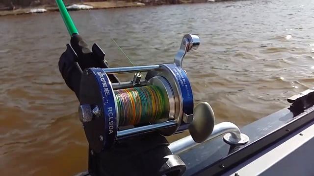 Kaida Concorde: бюджетник для троллинга