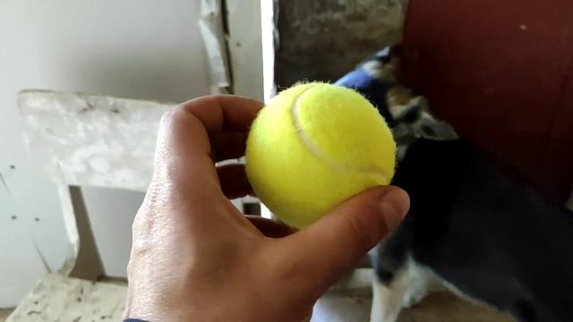 Многие удивляются этому приехав в Новосибирск смотреть онлайн