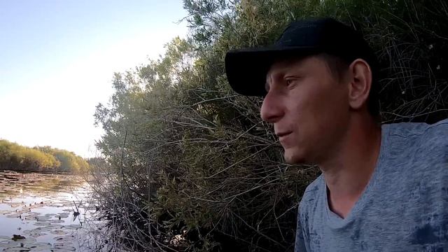 ЗАКОРМИЛИ ТОЧКУ В КУВШИНКАХ! ЛИНЬ! Рыбалка с ночевкой! Жарим шашлык! смотреть онлайн