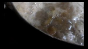 Каша для свиней