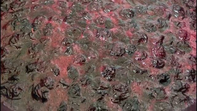 ВАРЕНЬЕ ИЗ ГОЛУБИКИ НА ЗИМУ !!!