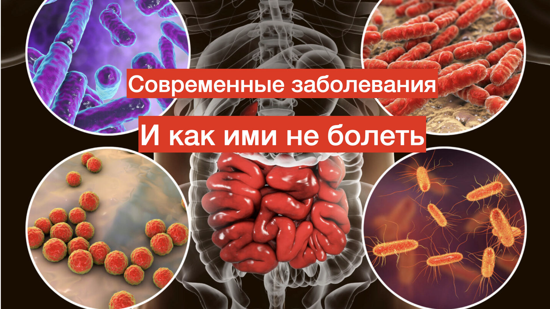 Прощайте большинство болезней ! Микробиота или нормальная микрофлора кишечника и все о ней. Коротко