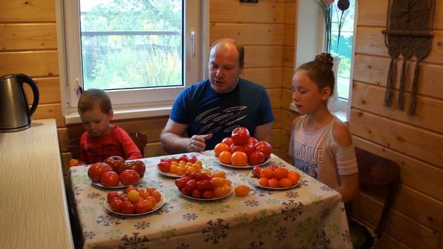 Лучшие и худшие сорта томатов от агрофирмы Партнёр 2020г.Дегустация смотреть онлайн