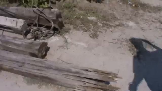 Вольнянск Деревья по Первомайской вырубили для замены деревянных опор на железобетонные смотреть онлайн