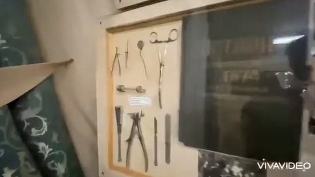 95-летие ВОГ в Павловском Посаде