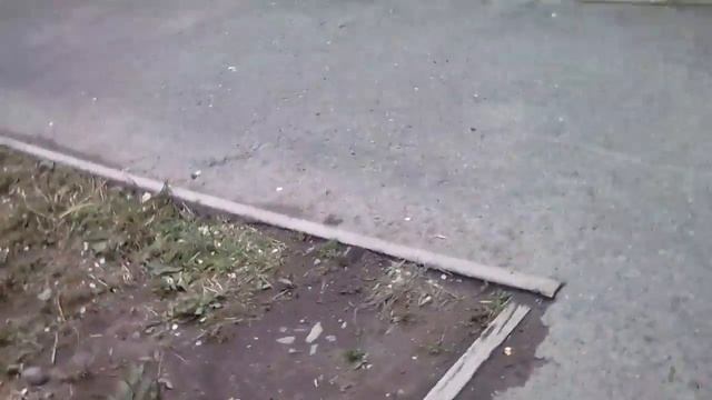 Пролезли в садик смотреть онлайн