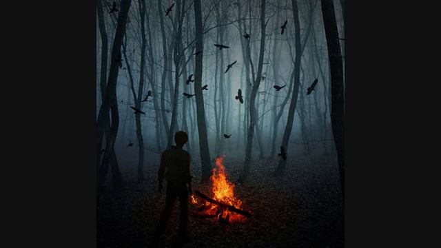 Birdy - Strange Birds