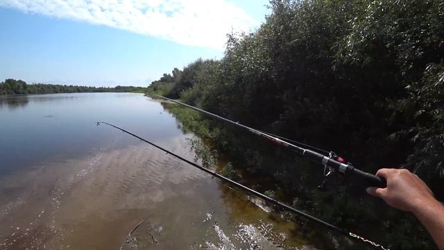 БЕШЕНАЯ РЫБАЛКА В СИБИРИ!ЖАРИМ РЫБУ!ЩУКА И ЛЕЩИ НА ФИДЕР! смотреть онлайн