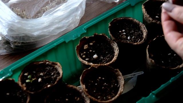 Прострел. Часть 2-я. смотреть онлайн