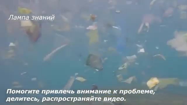 Великий мусорный остров в океане растет, загрязнение океана катастрофическое смотреть онлайн