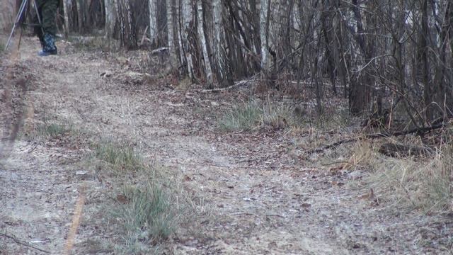 Звери выходят из загона смотреть онлайн