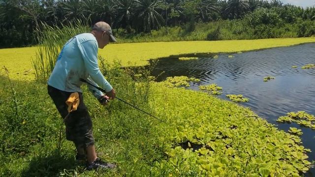 pesca en campo Limones смотреть онлайн