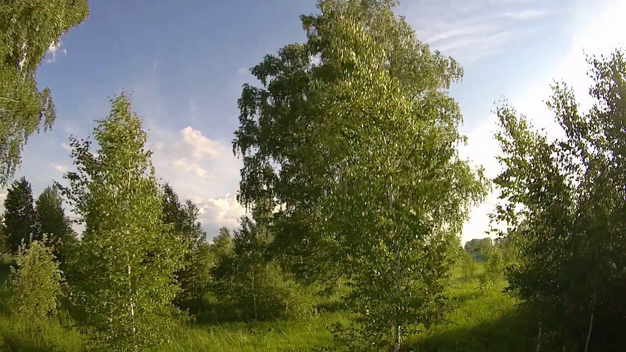 NORM0010 5 смотреть онлайн
