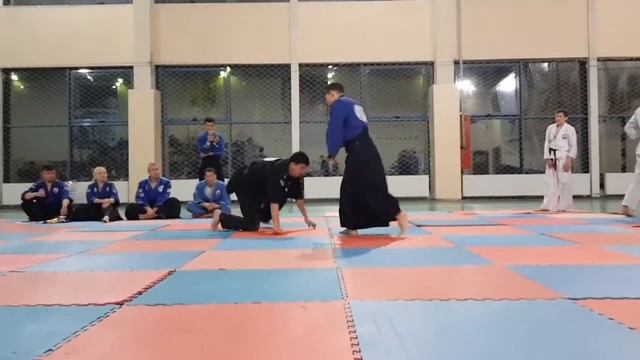Real Aikido Арыстан пистолет смотреть онлайн
