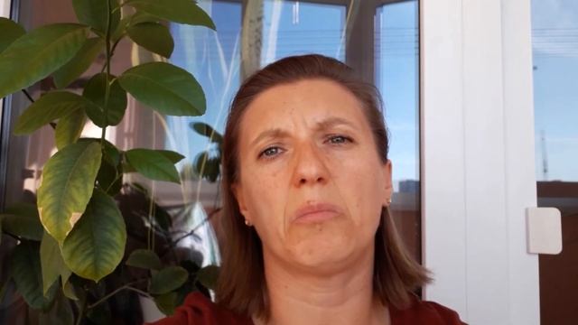 ВЛОГ : Лимон Мейера в квартире?Уход в домашних условиях?Первый опыт в Цитрусоводстве смотреть онлайн