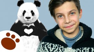 ТРИ МЕДВЕДЯ Интервью Арсений Никитин - ПАНДА из музыкального шоу для детей малышей