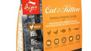 Сухой корм для кошек: рейтинг лучших по мнению ветеринаров