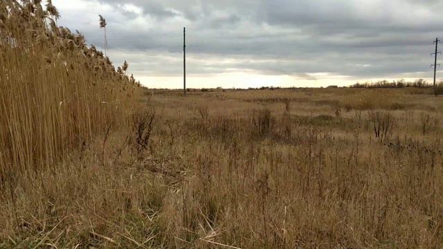 18 декабря 2022 г. смотреть онлайн