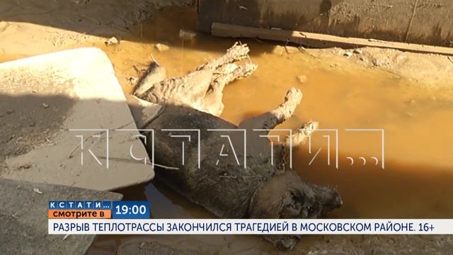 Смотрите сегодня в 19.00 на 